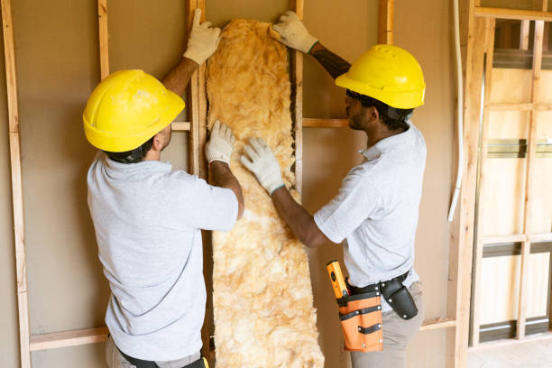 Best Insulation for Existing Homes  in Grayling, MI